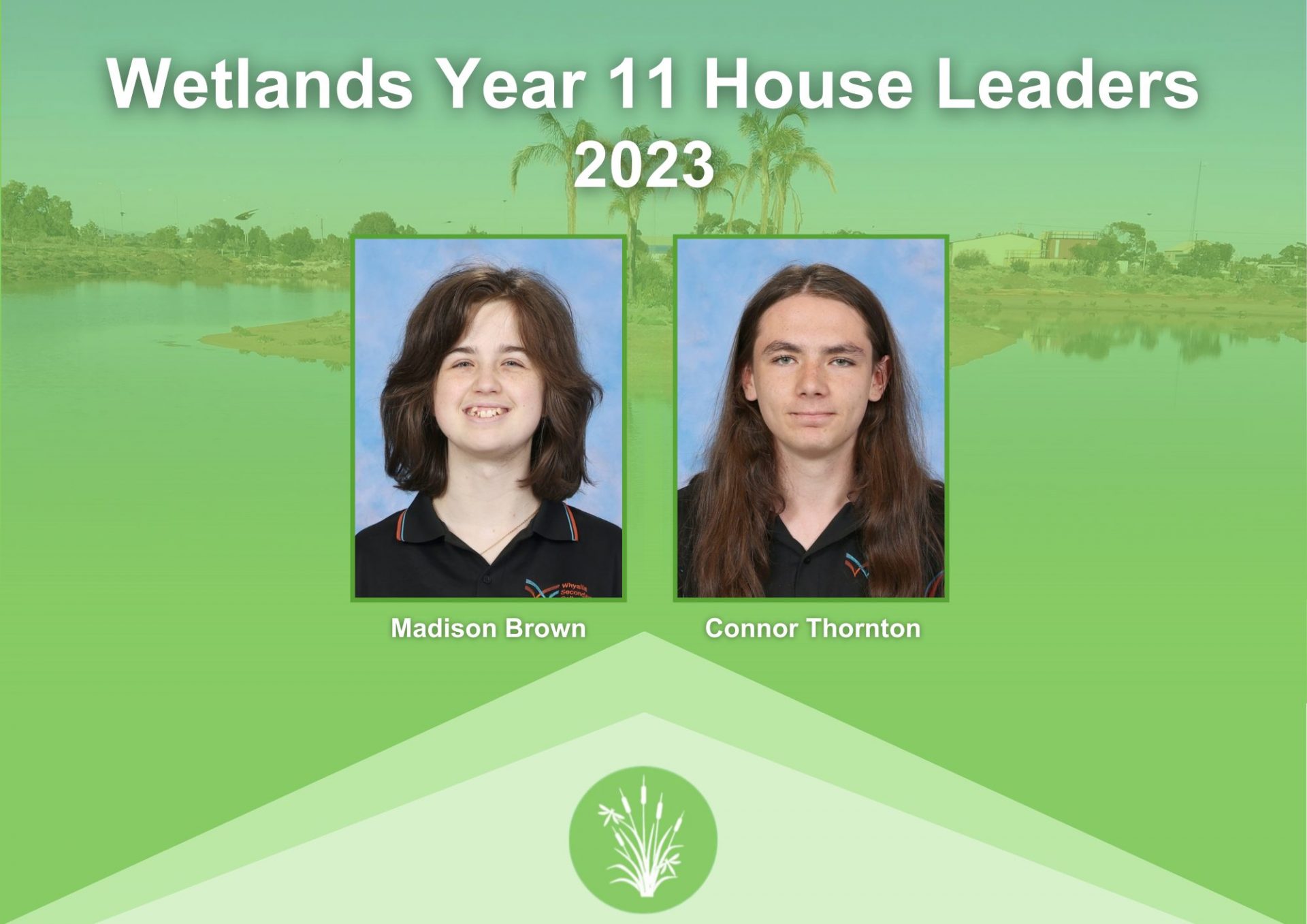 Wetlands Year 11
