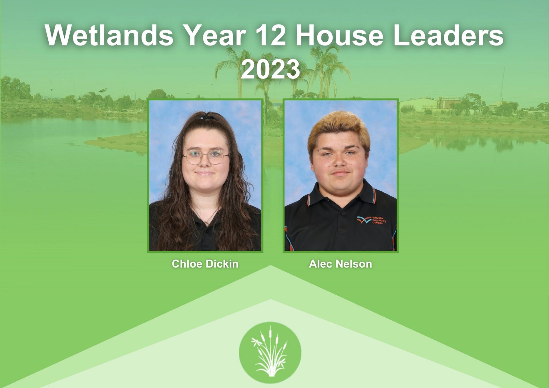 Wetlands Year 12