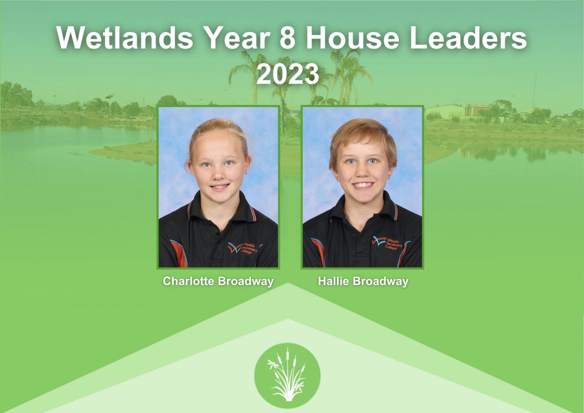 Wetlands Year 8